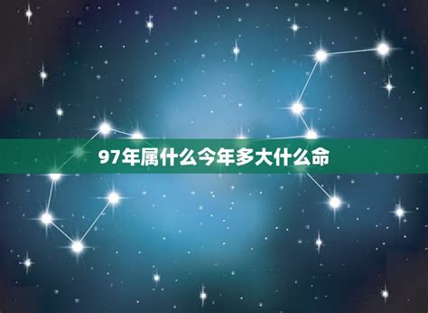 1997水牛|1997年都是水命吗？探寻属牛人的命运与生活